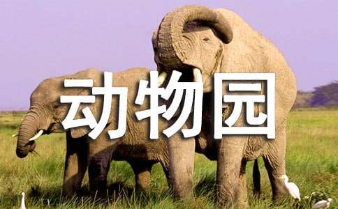 我家是個(gè)動(dòng)物園300字作文四年級(jí)