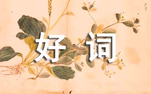 感情的好詞佳句