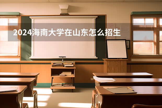 2024海南大學(xué)在山東怎么招生