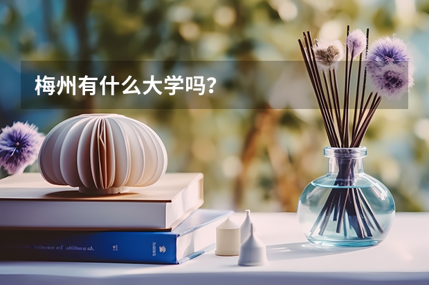 梅州有什么大學(xué)嗎？