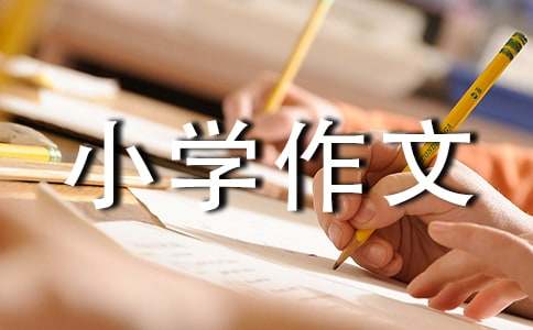 一次難忘的旅行小學作文350字（精選16篇）