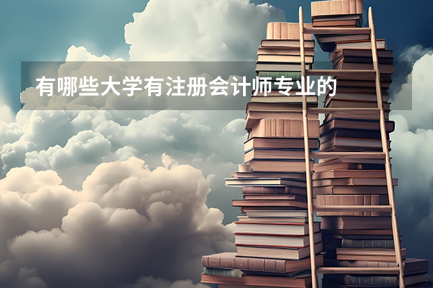 有哪些大學(xué)有注冊(cè)會(huì)計(jì)師專業(yè)的