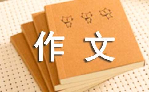 我愛我家900字作文（精選15篇）