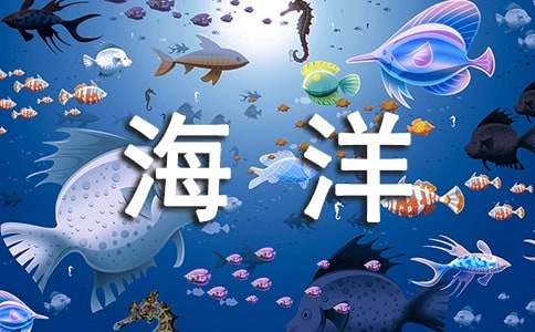 游上海海洋館作文400字（通用15篇）