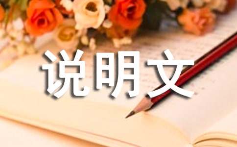 介紹貓說明文作文（精選28篇）