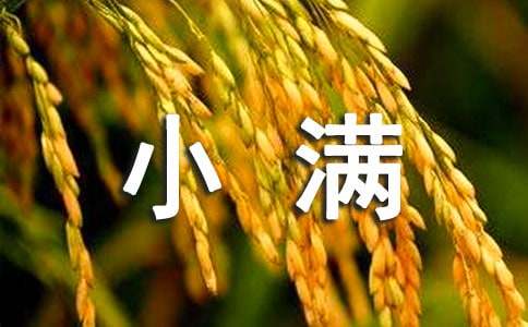 二十四節(jié)氣小滿諺語(yǔ)（精選220句）